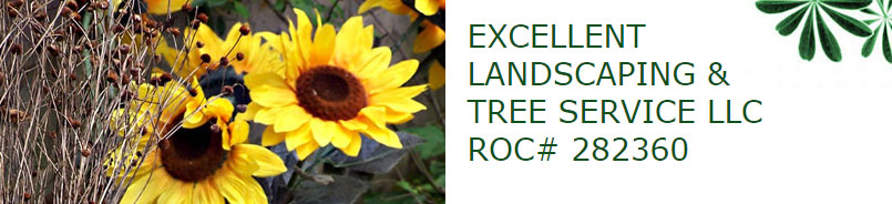 Excellent Landscaping & Tree Service LLC